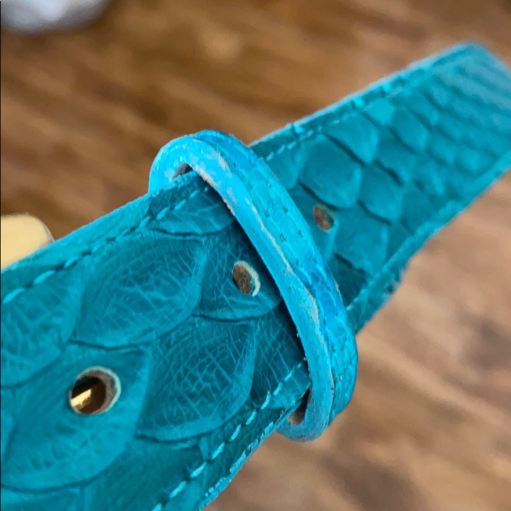 Python Belt - image 5